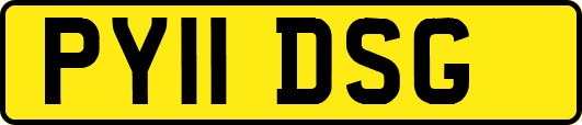 PY11DSG