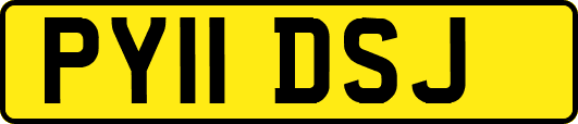 PY11DSJ