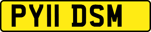 PY11DSM