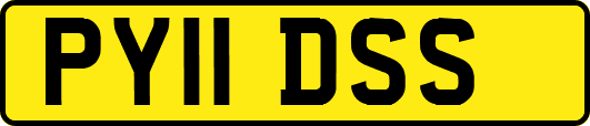 PY11DSS