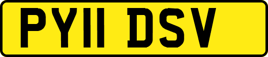 PY11DSV