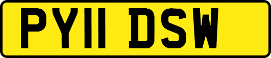 PY11DSW