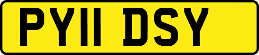 PY11DSY