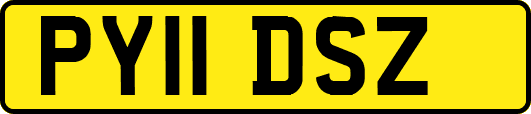 PY11DSZ