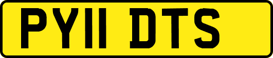 PY11DTS