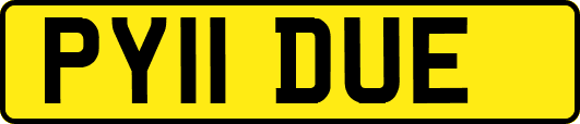 PY11DUE