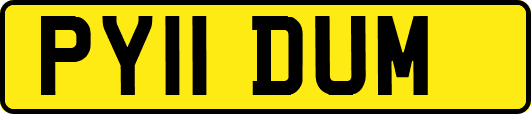 PY11DUM