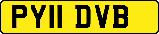 PY11DVB