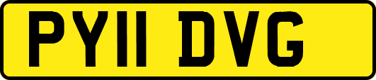 PY11DVG