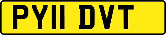 PY11DVT