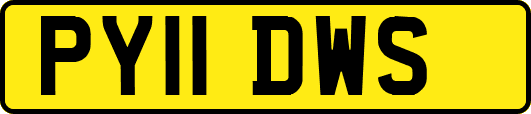 PY11DWS