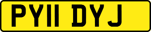 PY11DYJ
