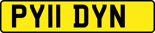 PY11DYN