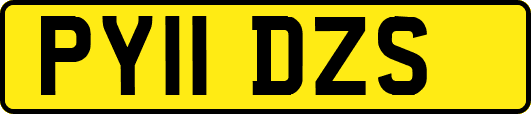 PY11DZS