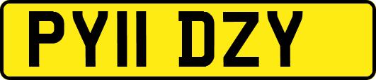 PY11DZY