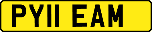PY11EAM