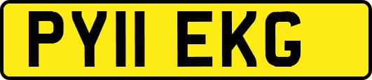 PY11EKG