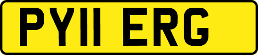PY11ERG
