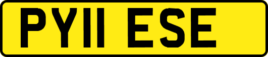 PY11ESE
