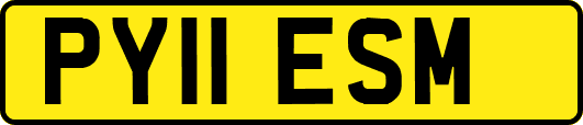 PY11ESM
