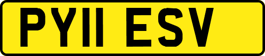 PY11ESV