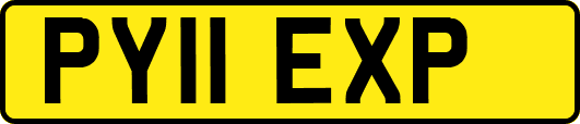 PY11EXP