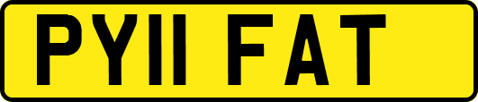 PY11FAT