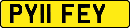PY11FEY
