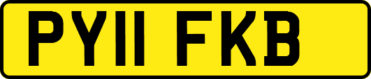 PY11FKB
