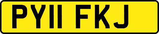 PY11FKJ