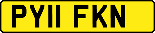 PY11FKN