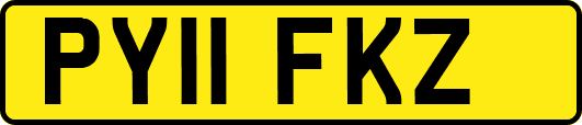 PY11FKZ