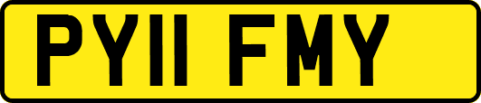 PY11FMY