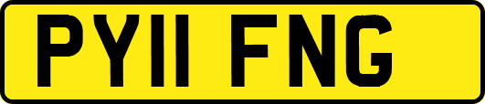PY11FNG