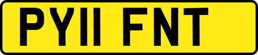 PY11FNT