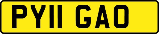 PY11GAO