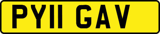 PY11GAV