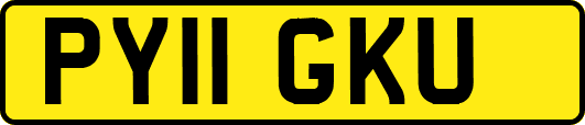 PY11GKU