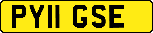 PY11GSE
