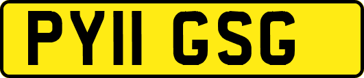 PY11GSG