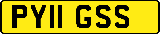 PY11GSS