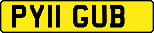 PY11GUB