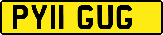 PY11GUG