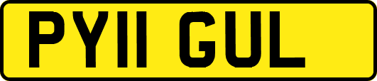 PY11GUL