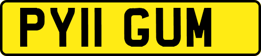 PY11GUM