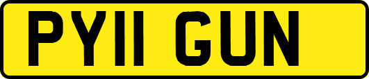 PY11GUN