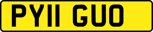 PY11GUO