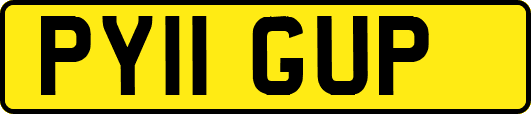 PY11GUP