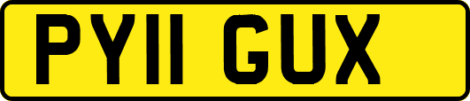 PY11GUX