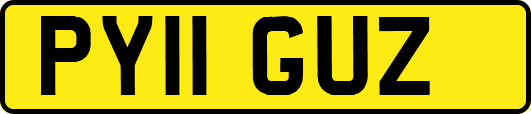 PY11GUZ